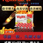 威樂 VigRX Plus 陰莖增大丸 原廠正品｜強效增長增粗配方