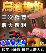 印度小綠瓶 Sikander-e-Azam Plus 綠巨人增大丸丨1瓶10顆：圖片 2